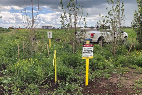 TransGas gas line markers in the ground